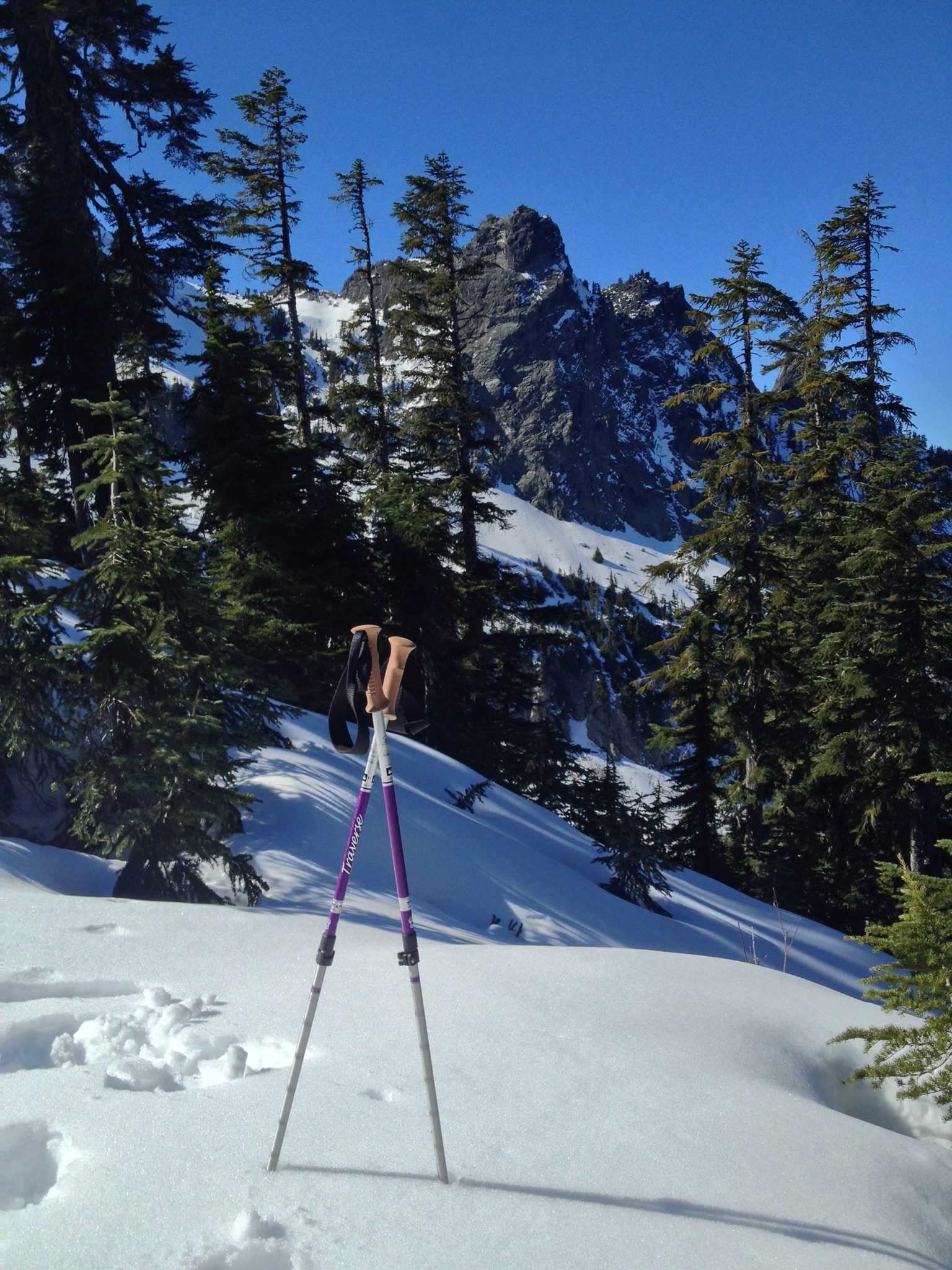 Poles in snow